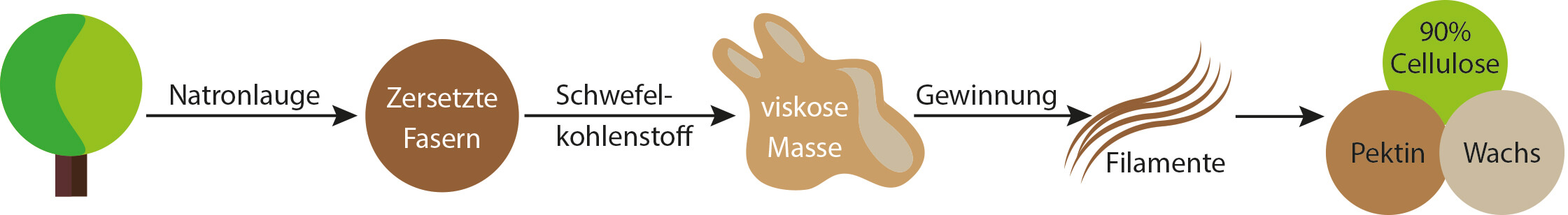 Herstellung von Viskose